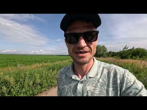 Видео: Рыбалка река Ока