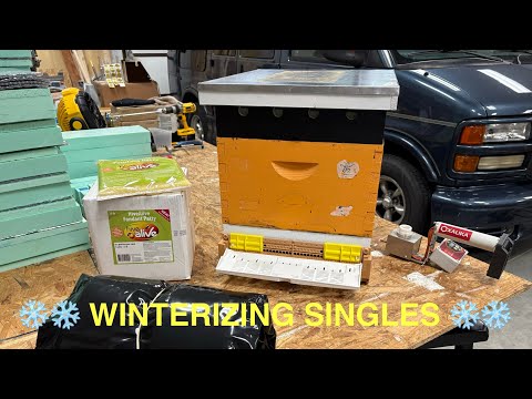 Видео: Как успешно перезимовать в одиночку