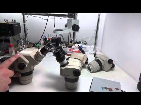 Видео: Микроскопы Nikon и Olympus, что выбрать?