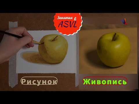 Видео: Подробный урок по акварели для начинающих. Как нарисовать яблоко?!