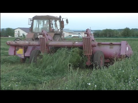 Видео: Мало кто видел такую косилку  КПП - 4.2