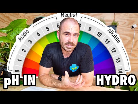 Видео: pH в гидропонике: объяснение
