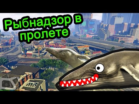 Видео: GTA 5 - Рыбнадзор в пролёте