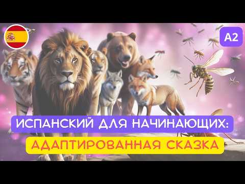 Видео: Адаптированная испанская сказка для начинающих: слушай и понимай