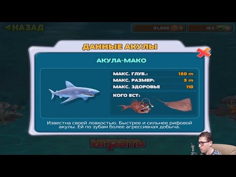 Видео: Прохождение HUNGRY SHARK EVOLUTION 2 - АКУЛА-МАКО [Mako Shark]
