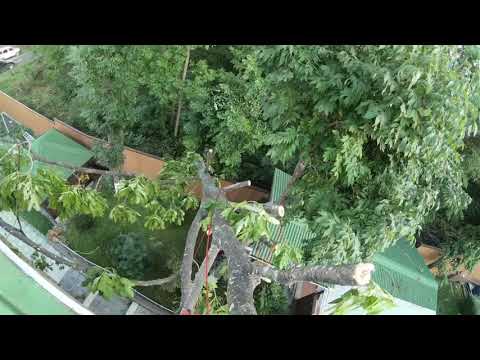 Видео: Дерево упало на дом, как спилить  Арбористы ATP