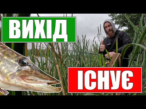 Видео: Дочекався ВИХОДУ і відловився, коли інші пішли ні з чим!!! Favorite Black Swan 902L в ділі!