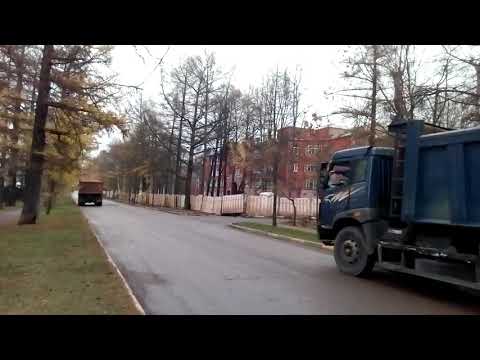 Видео: Москва 1216 Лиственничная аллея (территория Тимирязевской с/х академии) осень день