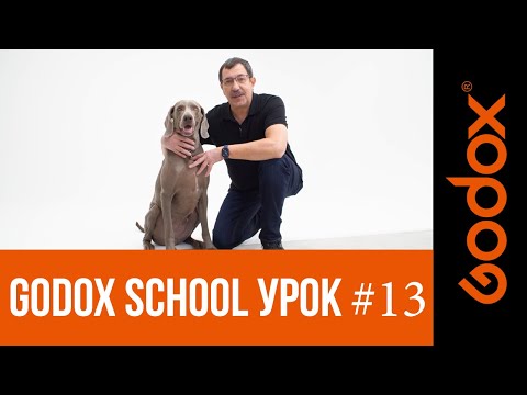 Видео: Фотошкола Godox с Игорем Сахаровым. Урок №13. От теории к практике: как снимать животных.
