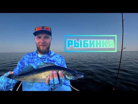 Видео: Жадные окуни на Рыбинском море!!! Отпуск на рыбинском водохранилище Часть 1.