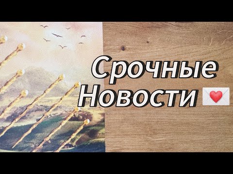 Видео: Срочно ‼️ К ВАМ ЛЕТЯТ НОВОСТИ 📰☝🏼💌‼️