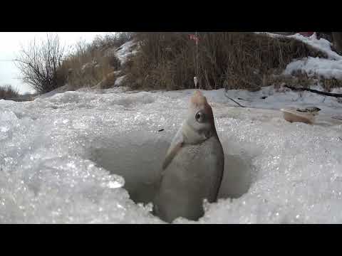 Видео: ЛЕПСЫ ЗАКРЫТИЕ ЗИМНЕГО СЕЗОННА