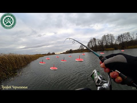 Видео: ДИКИЙ ЖОР РЫБЫ ПЕРЕД ЛЕДОСТАВОМ ! Ловля щуки осенью 2023