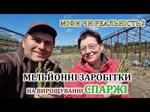 Видео: Мільйонні заробітки на вирощуванні спаржі: міфи чи реальність?
