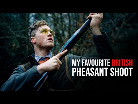 Видео: Загонная охота на фазанов | День загонщиков 2023