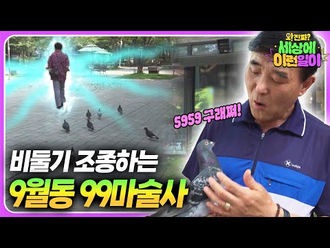 Видео: Мужчина заманивает диких голубей свистом и жестами