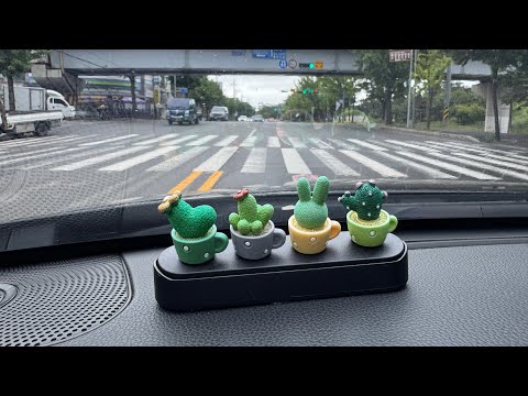 Видео: Төрсөн өдөр🎂, 100sub-тай миний нэг өдөр🙂‍↔️