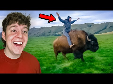 Видео: Необычные мемы — это безумие