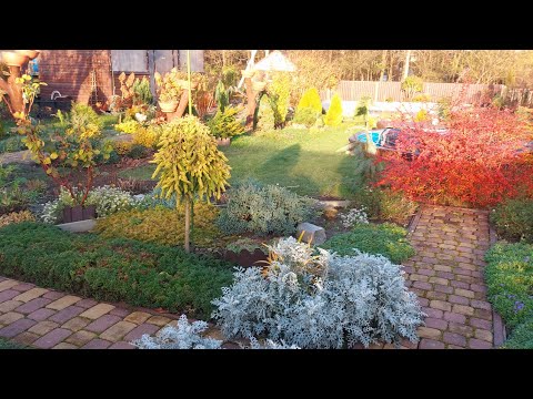 Видео: Ноябрь на дворе, а я все ещё на даче🍁🍂🍁