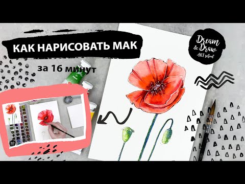 Видео: Рисуем красный мак. Уроки рисования. Акварельный скетчинг