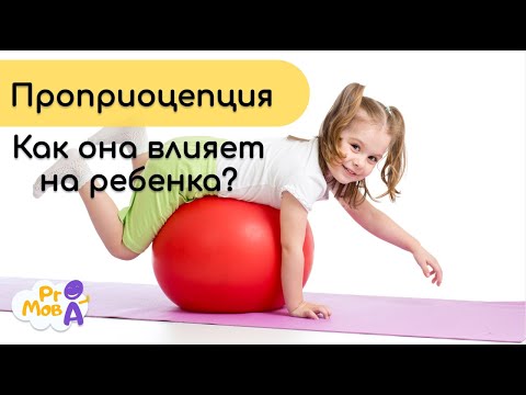 Видео: Проприоцепция. Что это? Как она влияет на ребенка.