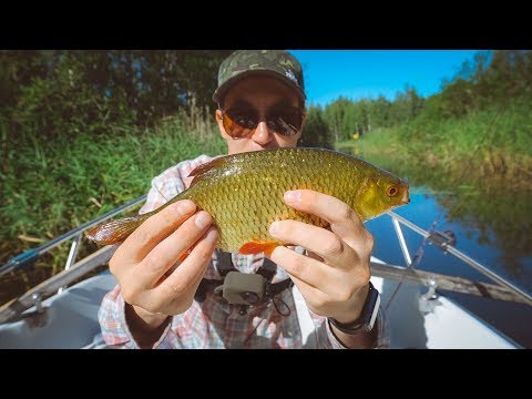 Видео: Бешеный клёв краснопёрки на ультралайт. Продолжаю искать 1 кг краснопёрку. Понемножку укрупняюсь.