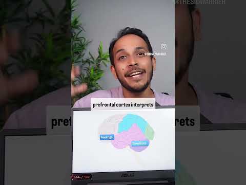 Видео: Эмоции против мыслей против чувств