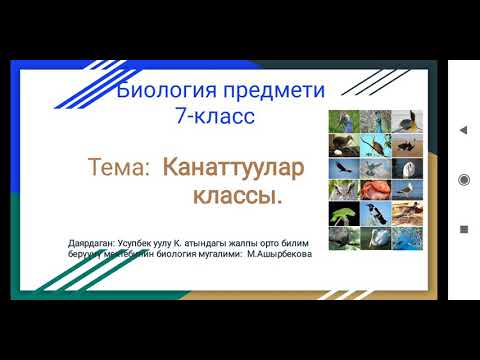 Видео: Биология предмети.  тема:  Канаттуулар классы.