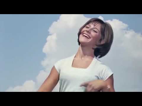 Видео: С днём торговли!