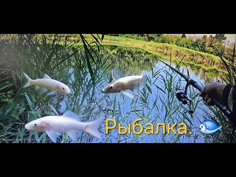Видео: РЫБАЛКА -01