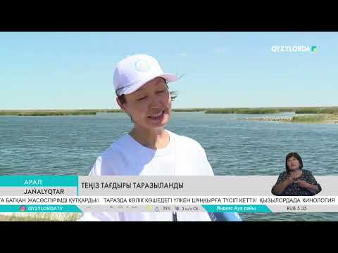 Видео: Теңіз тағдыры таразыланды