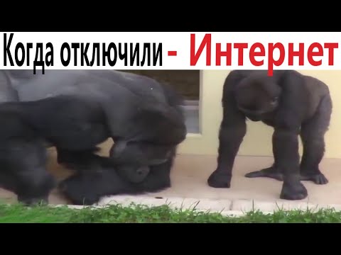 Видео: ПРИКОЛЫ! КОГДА ОТКЛЮЧИЛИ - ИНТЕРНЕТ!!! ВИДЕО - МЕМЫ, смешные истории от Доми шоу