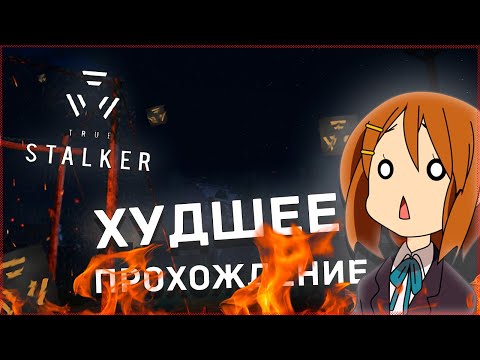 Видео: ХУДШИЙ ИГРОК в True STALKER | True Stalker