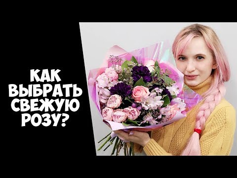 Видео: КАК ОПРЕДЕЛИТЬ СВЕЖЕСТЬ ЦВЕТКА? КАК ВЫБРАТЬ СВЕЖУЮ РОЗУ?