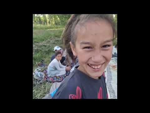 Видео: 29 мая 2025 г.