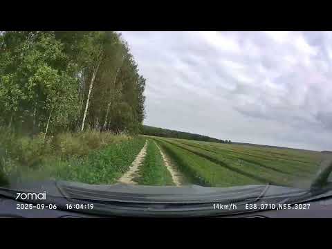 Видео: Driving in Domodedovo urban okrug: ок. Торчихи - Введенское - Лобаново  - Житнево 06/09/2025 (4x)