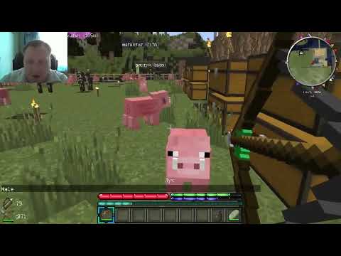 Видео: Minecraft - ПЕЩЕРОЗАВРЫ 8 БИТ - 29 - Лук ППЦ 2