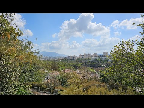 Видео: Кармиэль. Район Гиват-Рам. Часть 2 #кармиэль #израиль #israel #путешествия #репатриация 