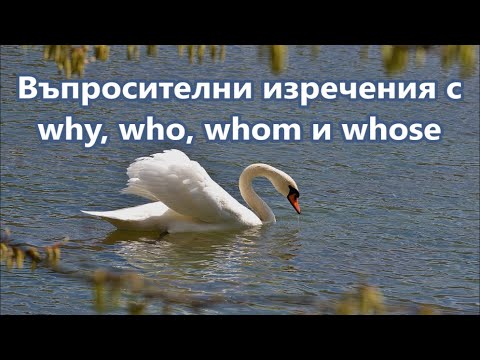 Видео: Уча английски: Въпроси с Why, Who, Whom & Whose + FREE PDF