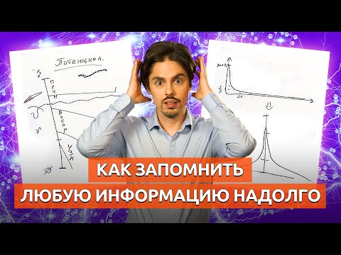 Видео: Как быстро запоминать информацию надолго / Потенциал нейронных связей