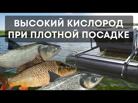 Видео: Высокий кислород при плотной посадке - это возможно!