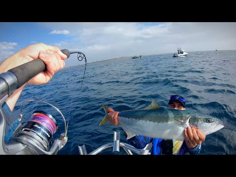 Видео: МЕЛЬБУРН КИНГФИШ! - Покойся с миром