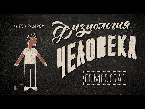 Видео: 1. Гомеостаз. Физиология человека - 8 класс