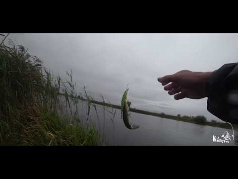 Видео: Твичинг крупными воблерами. За щукой.