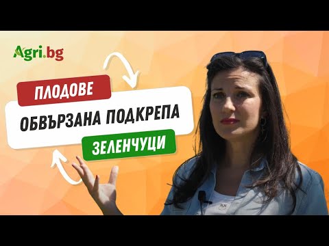 Видео: Ще се намери ли начин за изтегляне на обвързаната подкрепа за плодове и зеленчуци?