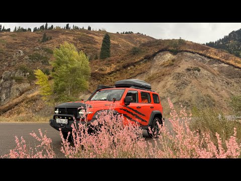 Видео: 🧡ТигрТанк на озере Иссык. Тестируем Старлинк. 
