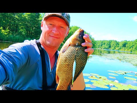 Видео: ЛОВЛЯ на ПОПЛАВОК КАРАСЯ!!! От такой рыбалки НЕВОЗМОЖНО ОТОРВАТЬСЯ!!!