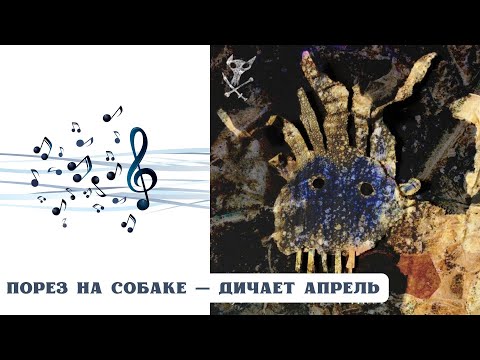 Видео: РЕАКЦИЯ, ОБЗОР И РАЗБОР: ПОРЕЗ НА СОБАКЕ — ДИЧАЕТ АПРЕЛЬ