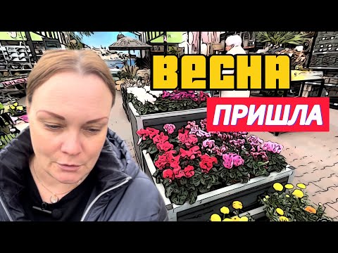 Видео: Мир ЦВЕТОВ в Нидерландах/ ПАСХАЛЬНЫЙ декор.