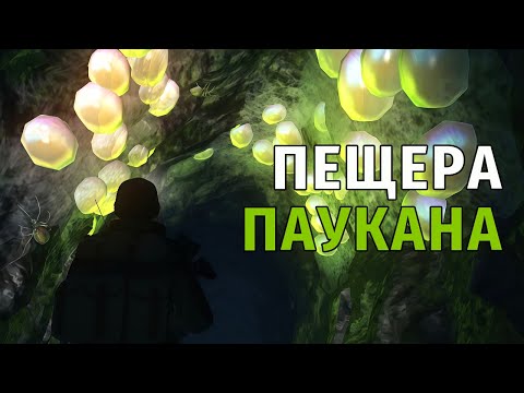 Видео: 32. Пещера Паукана и Бруторы. Stay Out | RU2